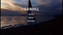  - 青海湖的精靈
