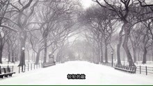 度過每一個寂寞的夜！