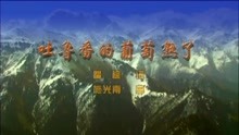  - 吐魯番的葡萄熟了
