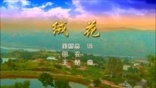  - 絨花