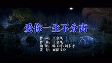 愛你一生不分離MTV