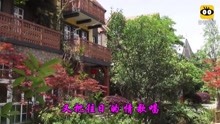  - 經典老歌
