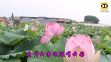  - 經典老歌