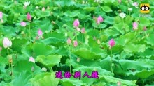  - 經典老歌
