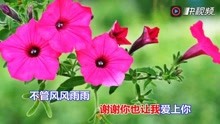  - 一首傷感情歌