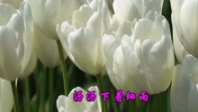  - 經典情歌 《心雨》
