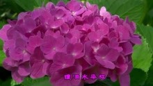  - 經典情歌《償還》