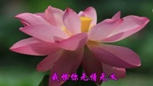  - 經典情歌