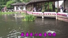  - 經典情歌