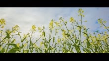 李浪浪 - 不配我眷戀
