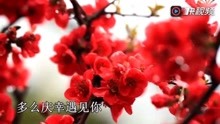  - 太傷感！你聽聽！