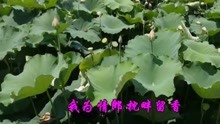  - 經典情歌