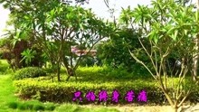  - 經典情歌