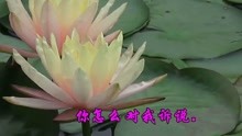  - 經典情歌