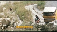  - 發哥三十五歲的故事