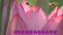  - 網絡情歌