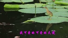  - 網絡情歌