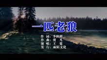  - 王覺、一匹老狼MTV