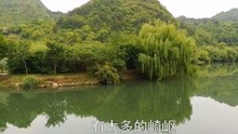  - 一曲《愛你多甜蜜》