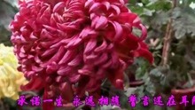  - 一首《你還會愛我嗎》
