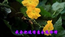  - 一首  想你愛你記心里