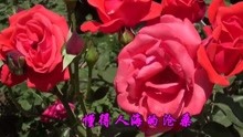 - 懷舊金曲