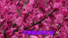 - 懷舊老歌