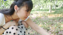 貴州盤歌 貴州山歌