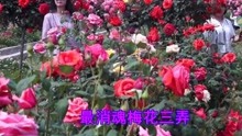  - 懷舊老歌