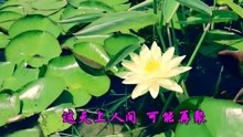  - 懷舊老歌