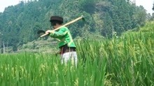  - 別看不起種田人