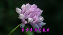  - 懷舊老歌