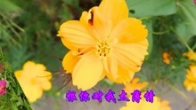  - 懷舊老歌