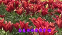  - 經典情歌