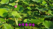  - 懷舊金曲