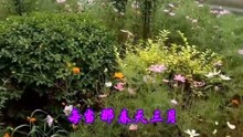  - 懷舊金曲