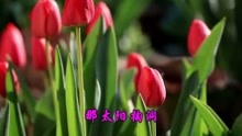  - 懷舊老歌