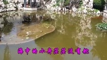  - 懷舊情歌
