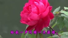  - 懷舊老歌