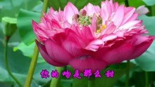  - 懷舊老歌