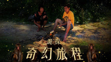  - 永遠是兄弟MV