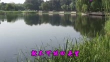  - 經典老歌
