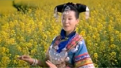 走羅平