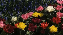 一個人想著一個人