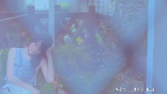 我的上上簽