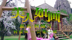 曇花一現