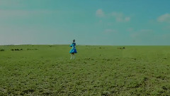 美麗的草原
