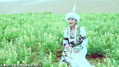 草原我的情人