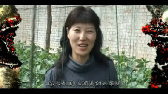 紅梅