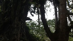泰國巴厘島